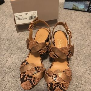 New in box brown and black heels!